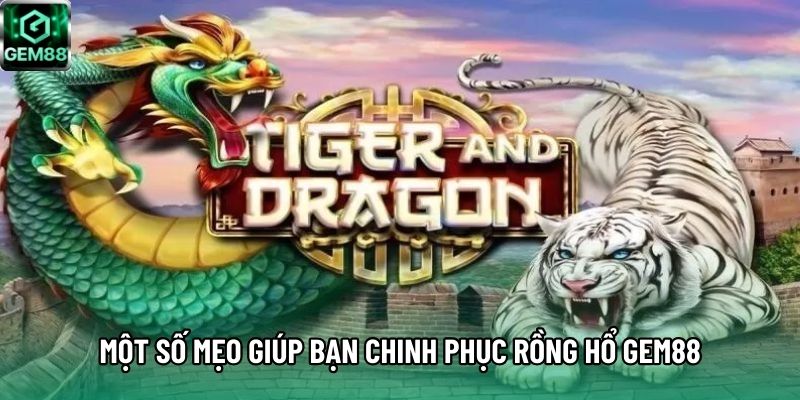 Một số mẹo giúp bạn chinh phục Rồng Hổ GEM88